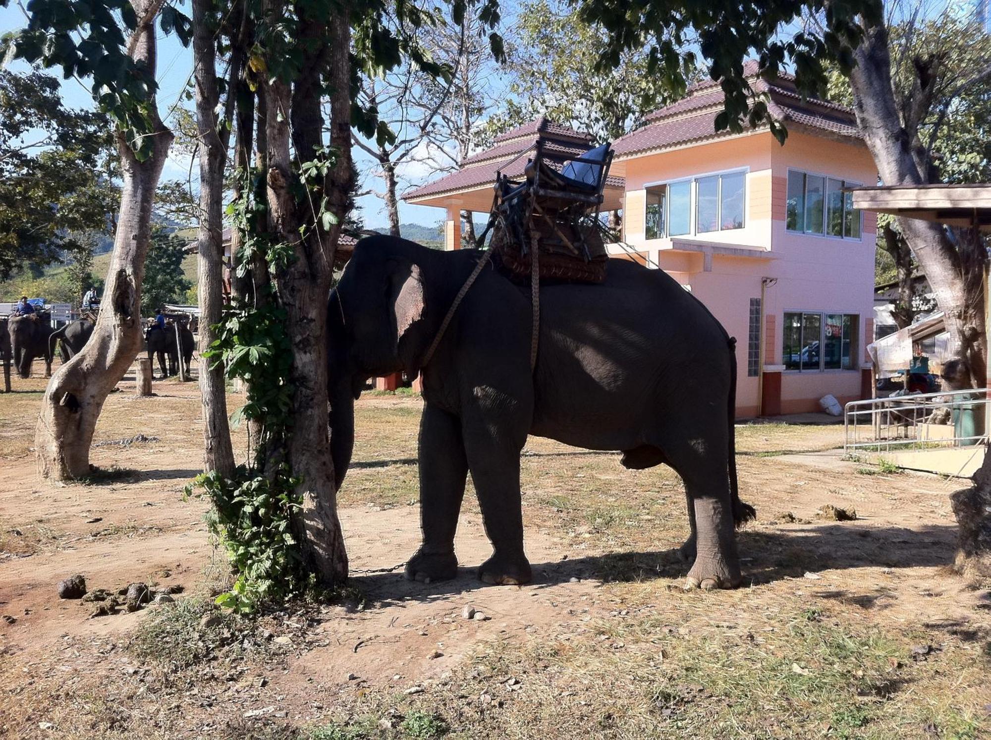 Ban Lom Jen Homestay Chiang Rai Esterno foto